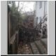 DSCN7881.JPG